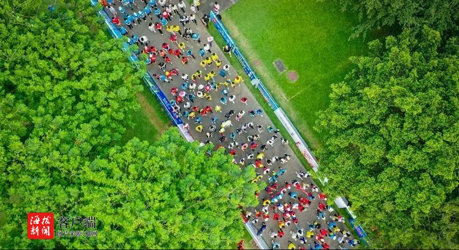 人及以上参, 记者从海南, 商报全媒体 人及以上参, 记者从海南, 商报全媒体