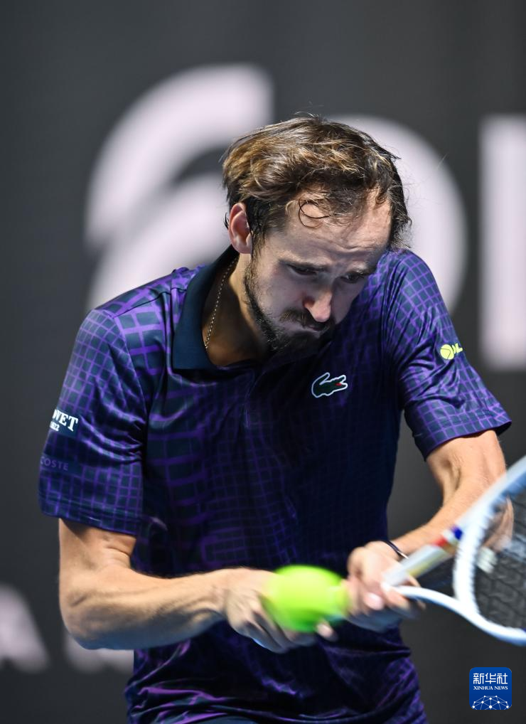 梅德韦杰夫 梅德韦杰夫